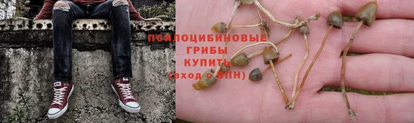 винт Армянск