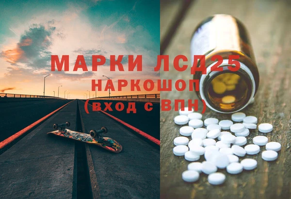 молекула духа Арсеньев