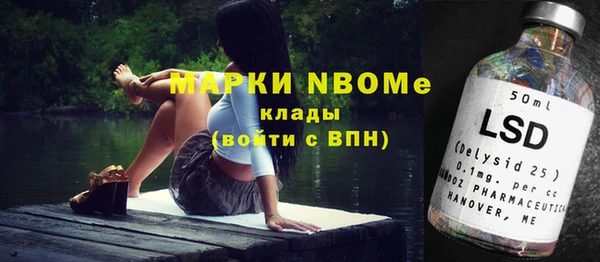 молекула духа Арсеньев