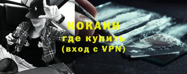 молекула духа Арсеньев