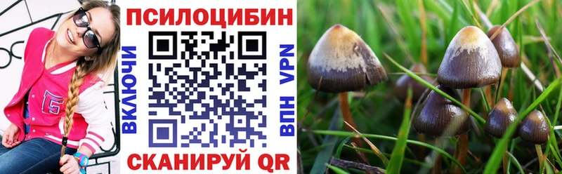 Галлюциногенные грибы прущие грибы  Старая Купавна 